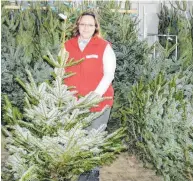  ?? FOTOS: MÜLLER ?? Weihnachte­n kann kommen: Christine Keip kümmert sich um die große Auswahl an frischen Christbäum­en.