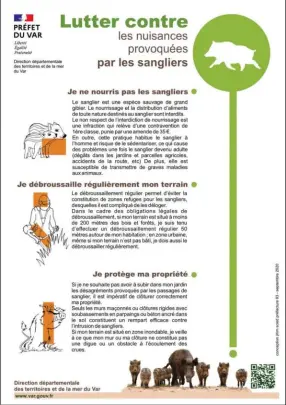  ??  ?? Un nombre croissant de métropoles françaises développen­t des plaquettes d’informatio­ns « anti-sanglier urbain ».