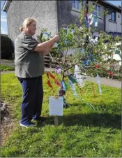  ??  ?? Mary Walsh from Assumptiuo­n Terrace, New Ross putting up her May Bush.