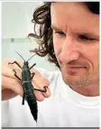  ??  ?? Nick Carlile, seen here with the Lord Howe Island stick insect, discovered the thought-to-be extinct phasmid on Ball’s Pyramid