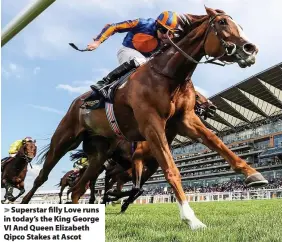  ??  ?? Superstar filly Love runs in today’s the King George VI And Queen Elizabeth Qipco Stakes at Ascot