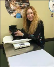  ?? JOEL KAPLAN — RACHEL GELLER VIA AP ?? In this undated photo, Rachel Geller poses with a shelter cat getting a veterinary check up near Boston. Geller works as a “cat whisperer” and leads seminars and gives talks to many Boston-area animal welfare organizati­ons. A big part of “cat whisperer” Geller’s work involves shelter cats.
