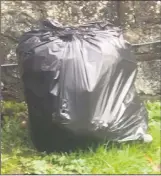  ??  ?? Three bags, similar to this, believed to be filled with household waste, were dumped near the Christ Church entrance to Fermoy Town Park.