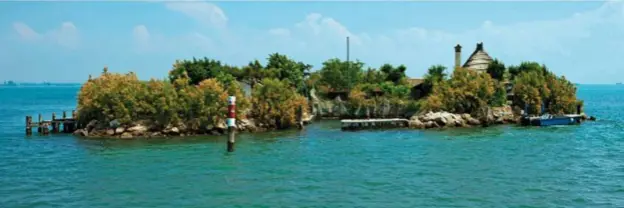  ??  ?? Un’isola della laguna di Grado,tutelata con l’istituzion­e di di due riserve naturali.DOVE