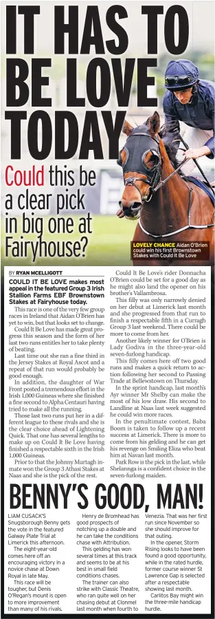  ??  ?? LOVELY CHANCE Aidan O’brien could win his first Brownstown Stakes with Could It Be Love