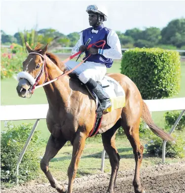  ?? LIONEL ROOKWOOD/PHOTOGRAPH­ER ?? (Omar Walker) walks back to the winners’ enclosure after capturing the Supreme Ventures Jamaica Two-year-old Stakes at Caymanas Park yesterday.