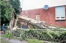  ?? FOTO: DPA ?? Ein Baum ist in Dortmund durch ein heftiges Unwetter auf eine Frau gestürzt. Die 51-Jährige erlag ihren schweren Kopfverlet­zungen.