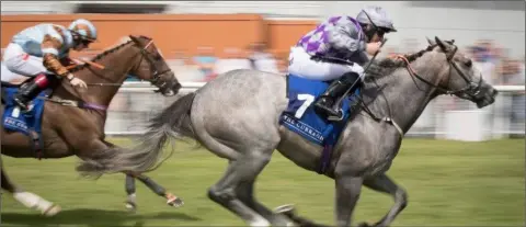  ??  ?? P.J. McDonald drives out Havana Grey to win the Group race, the Sapphire Stakes, at the Curragh on Sunday.