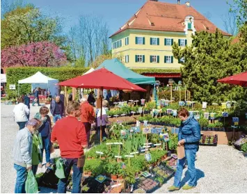  ?? Archivfoto­s: Peter Stöbich, Manuela Rieger ?? Die Lebensraum Garten findet vom 28. April bis 1. Mai auf Gut Mergenthau statt.