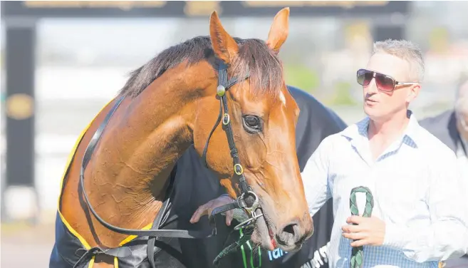  ?? Photo / Trish Dunell ?? Cambridge trainer Ben Foote with undefeated filly Travelling Light in Christchur­ch yesterday.