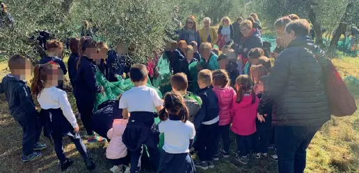  ?? ?? Una scolaresca in gita alla cooperativ­a Saca di Guidonia: così i bambini imparano come si raccolgono le olive