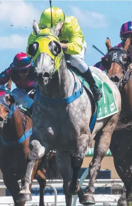  ?? ?? Chris Caserta (inset) rides Gem of the Lochs to victory on the Gold Coast last month. His body was found yesterday morning after he went missing during a late-night swim on Wednesday.