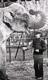  ??  ?? Der Elefant auf dem Zoo-Beutel wurde Toni getauft.