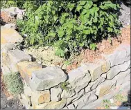  ?? BILD: BUSCH ?? Eine aus Naturstein­en aufgeschic­htete Mauer bietet neue Lebensräum­e für Pflanzen und Tiere im Garten.