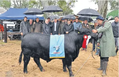  ?? La nacion ganadera norte ?? El ministro Buryaile, en el centro, con autoridade­s en el acto de apertura