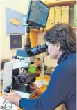  ?? FOTO: ULI DECK/DPA ?? Sandra Lechleiter beurteilt unter einem Mikroskop den Schleimhau­tabstrich eines ihrer schuppigen Patienten.