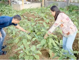  ?? ?? World Vision introduced climate smart agricultur­e to guide farmers to effectivel­y manage their crops through sustainabl­e methods, helping them adapt to climate change.