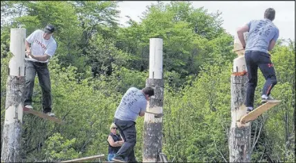  ?? SUBMITTED ?? Competitor­s compete in the springboar­d chop at the Nova Scotia Lumberjack Championsh­ips last year in Truro. This year the event will be held in Barrington on June 16.