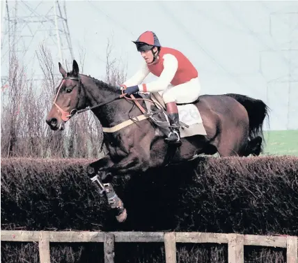  ?? Alun Sedgmore ?? > Katesville at the Monmouthsh­ire Point to Point in 1990 with Tim Jones on board