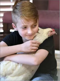  ?? RECORDER PHOTO BY CHIEKO HARA ?? Mason Brumley, 11, cuddles Love Bird. Once Mason calls her, she comes to him and gives him a hug. Their video is currently part of a Subaru commercial.