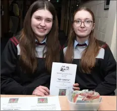  ?? ?? Laura Dineen and Chiara Malizia attending at the Millstreet Community School Drama Production. Picture John Tarrant