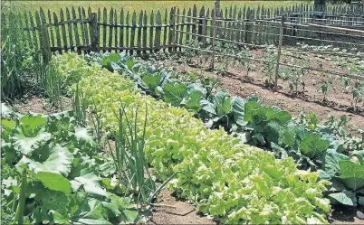  ?? [THE OKLAHOMAN ARCHIVES] ?? Now is the time to start planning for a fall vegetable garden like this one.