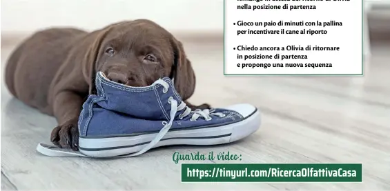  ??  ?? Guarda il video:
https://tinyurl.com/RicercaOlf­attivaCasa