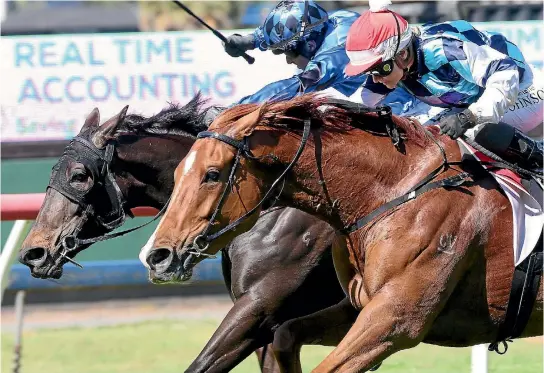  ?? TRISH DUNELL ?? Danielle Johnson gets Kachhi (outside) up to win at Ellerslie on Saturday.