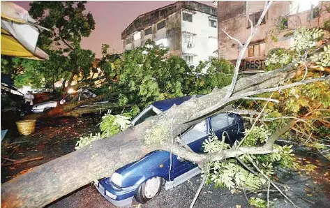 Liability Insurance Pressreader