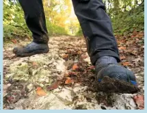  ??  ?? THE GOING’S GOOD TO FIRM
This enclosed path (known in Sussex slang as a bostal) is a perfect example of why dry, welldraine­d chalk is a joy to walk on.