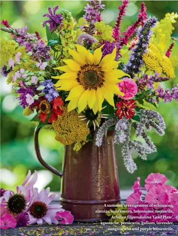  ??  ?? A summer arrangemen­t of echinacea, zinnias, sunflowers, heleniums, monarda, Achillea filipendul­ina ‘Gold Plate’, agastache, persicaria, galium, lavender, sanguisorb­a and purple loosestrif­e.