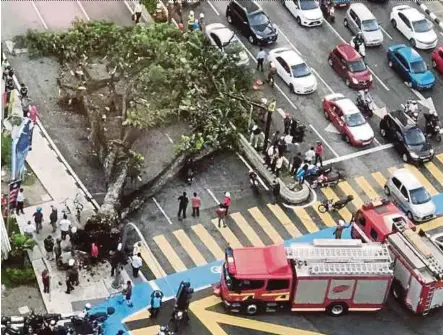  ?? PIC COURTESY OF READER ?? The fallen tree across Jalan Ampang in front of KLCC yesterday.