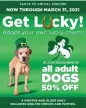  ??  ?? Get lucky! Adopt your own lucky charm promotion