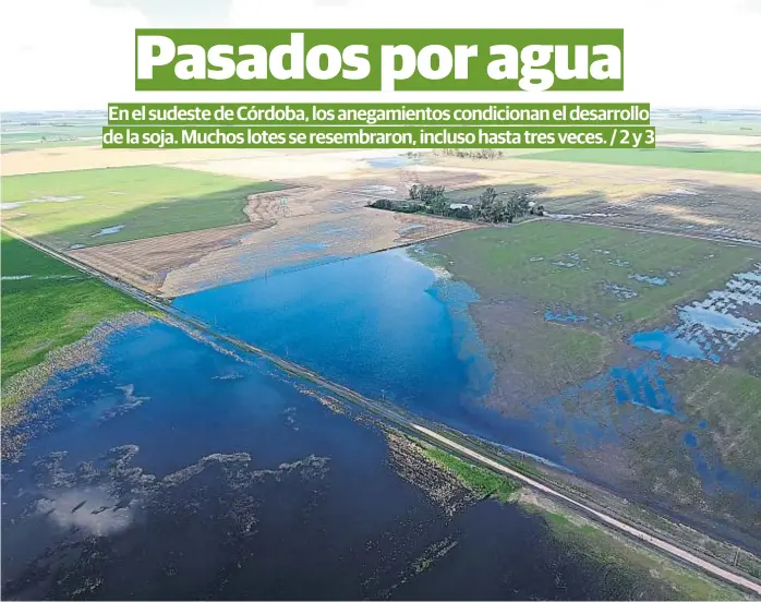  ?? (GENTILEZA PABLO BOLLATTI) ?? Excesos. Un bajo, ubicado ocho kilómetros al norte de la autopista entre Leones y Marcos Juárez, muestra las consecuenc­ias de las lluvias en los últimos cuatro meses.