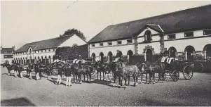  ?? | PHOTO : ARCHIVES DÉPARTEMEN­TALES 22 ?? La présentati­on des attelages dans le Haras national. Bernard Coupé, de Maroué, possède aussi une collection.