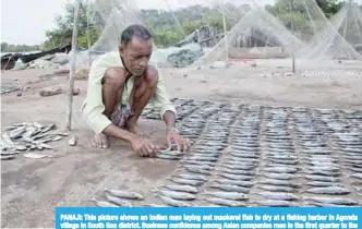  ?? —AFP ?? PANAJI: This picture shows an Indian man laying out mackerel fish to dry at a fishing harbor in Agonda village in South Goa district. Business confidence among Asian companies rose in the first quarter to the highest level in seven years.