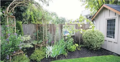  ??  ?? A metal bower creates vertical interest supporting clematis, small yellow climbing roses and a blue potato vine. Wisteria grows over the garage, which is fitted with antique leaded glass windows. A mullioned mirror hangs on the fence.