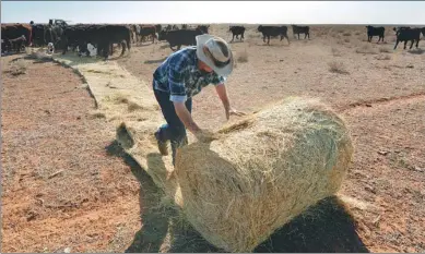  ?? PETER PARKS / AGENCE FRANCE-PRESSE ?? Farmer Matt Ireson feeds his cattle due to lack of vegetation caused by a severe drought in western New South Wales, Australia, in September.