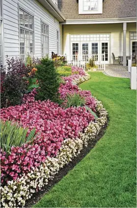  ?? Shuttersto­ck ?? Annuals do make the most visual impact, so if you are selling the house, they may be the best type of plant to use.