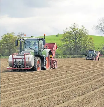  ??  ?? DECISION TIME: A vote among potato farmers showed growing support for end of levy.