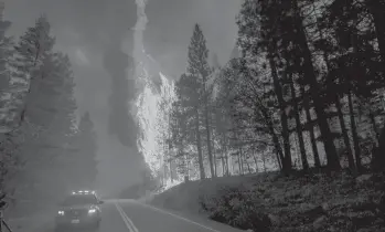  ?? NOAH BERGER/AP ?? Flames leap from trees in August as the Dixie Fire burns north of Greenville in Plumas County, California. Each year thousands of acres of dense timber are thinned, but some environmen­tal advocates say thinning is making fires worse.