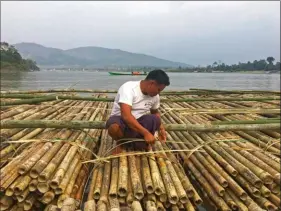  ??  ?? Les bambous sont assemblés en radeaux géants avant d’être convoyés par le fleuve.