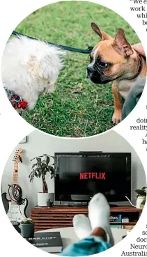  ?? TREDDY CHEN/ MOLLIE SIVARAM/ UNSPLASH ?? Doing things that all brains appreciate, such as playing with animals can help relax us, top. Watching movies all day can provide you with rest, above.