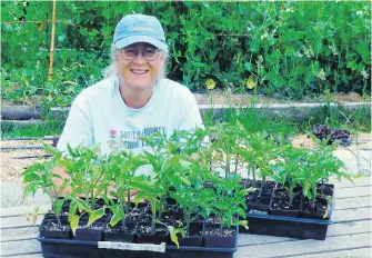  ??  ?? Cary Peterson, program co-ordinator for the South Whidbey School Farms Program in Langley, Washington, prepares plant sets for volunteers to put into the ground.