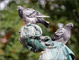  ?? (Photo Dominique Leriche) ?? Sur la fontaine du square Anatole-France.