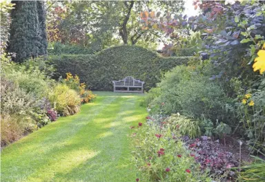  ?? BETTY MONTGOMERY ?? The solid evergreen wall of green stops the eye and the bench at the end of a path will add some structure to this garden.