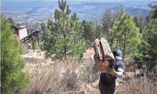  ?? MARK HENLE/THE REPUBLIC ?? Pete Norton clears debris off a property in Summerhave­n, high up on Mount Lemmon near Tucson, as part of a Firewise program.