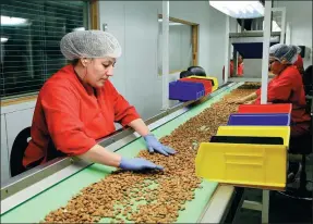  ?? GAO SHAN / XINHUA ?? A worker processes almonds on a production line at a plant in California, the United States. California exported $4.5 billion of almonds in 2016. More than half went to the Chinese market.