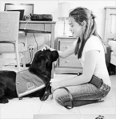  ?? NIKKI WESLEY
METROLAND ?? Burlington's Abigail Neill, 11, meets her new diabetes alert dog Icelyn, a 20 month old black lab, at the Lions Dog Guides facility in Oakville. Carrie Lemay, 43, sits with her new diabetic alert dog, Freckles, at the Dog Guides Canada facility in Oakville.