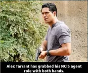  ?? ?? Alex Tarrant has grabbed his NCIS agent role with both hands.